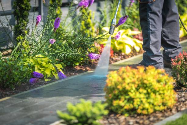 Best Pool Deck Cleaning  in Newport, OH